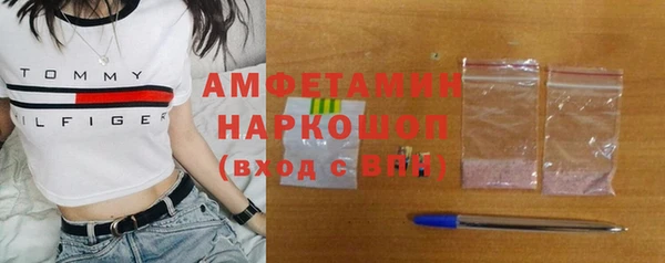 ГАЛЛЮЦИНОГЕННЫЕ ГРИБЫ Бородино