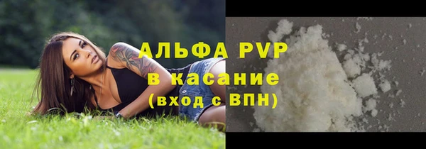 ГАЛЛЮЦИНОГЕННЫЕ ГРИБЫ Бородино
