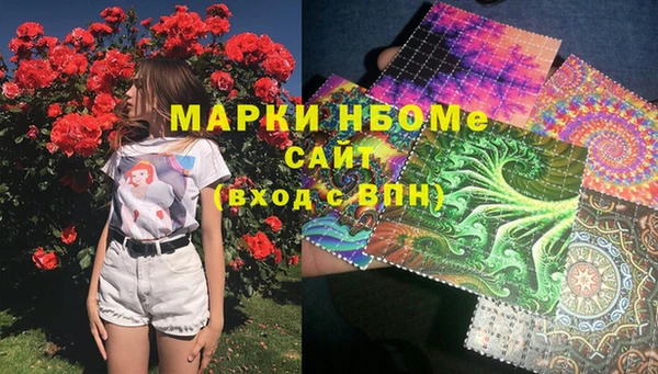 ГАЛЛЮЦИНОГЕННЫЕ ГРИБЫ Бородино