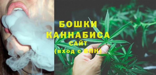 ГАЛЛЮЦИНОГЕННЫЕ ГРИБЫ Бородино