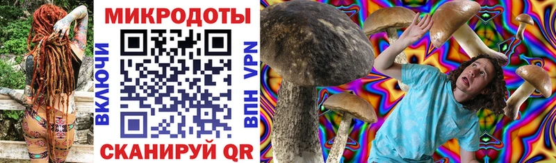 Галлюциногенные грибы MAGIC MUSHROOMS  Купить  Лосино-Петровский 