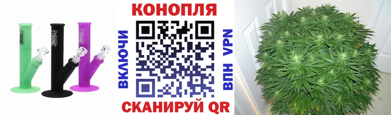 Бошки марихуана Bruce Banner Купить где Лосино-Петровский